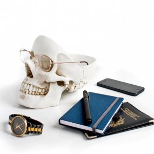 Органайзер для мелочей Skull