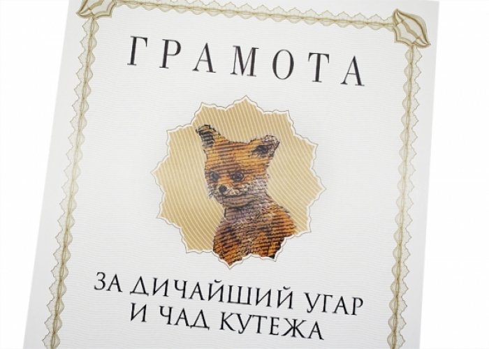 Трэш и угар из соцсетей. Паук чад кутежа. Чад угар. Чад кутежа и дичайший угар. Адовый угар и чад кутежа.