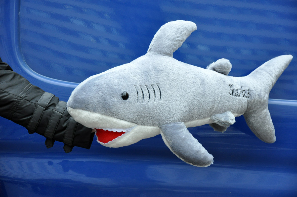 Купить акулу живую. Плюшевая акула. Мягкая игрушка акула. Большие мягкие игрушки акула. Самая большая игрушечная акула.